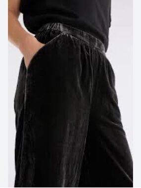 Banana Republic Black Velvet Pull-on Elastic-Waist & Ankle Pants M